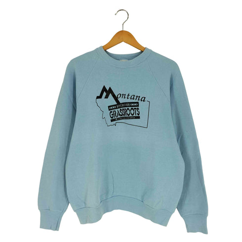 フルーツオブザルーム FRUIT OF THE LOOM 90S USA製 ラバープリント ラグランスウェット メンズ import:L
