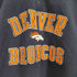 リーボック Reebok DENVER BRONCOS刺繍 ハーフジップ プルオーバー フリースジャケット メンズ import:L