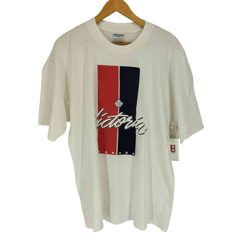 ギルダン GILDAN 90s 刺繍タグ カナダ製フロントプリントクルーネックTシャツ メンズ XL