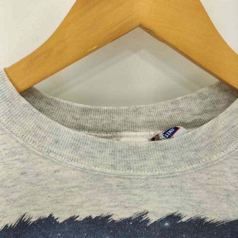 ヘインズ Hanes 90s 刺繍タグ SILHOUETTE オオカミ アニマルプリント クルーネック スウェット トレーナー メンズ