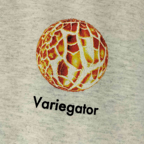 VARIEGATOR 惑星プリント L/S Tシャツ メンズ