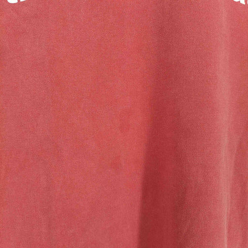 ディスイズネバーザット thisisneverthat T-Logo Tee メンズ M