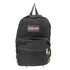ジャンスポーツ JanSport スエード切替バッグパック メンズ