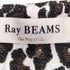 レイビームス Ray BEAMS ジャガード ミニスカート レディース JPN:1