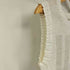ヨシキヒシヌマ PEPLUM by YOSHIKI HISHINUMA プリーツカットソー レディース JPN:2
