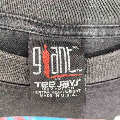 90S USA製 GIANT ボディ コピーライト 1995 PRETTY HATE MACHINE アートワーク プリント S/S Tシャツ メンズ import:XL