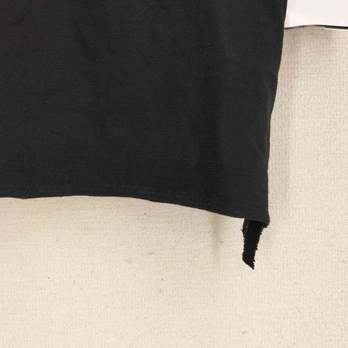 ハートイッセイミヤケ Haat ISSEY MIYAKE ハイネック シアー S/S カットソー レディース JPN:2
