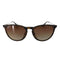 レイバン Ray-Ban ERIKA CLASSIC メンズ 54□18 145