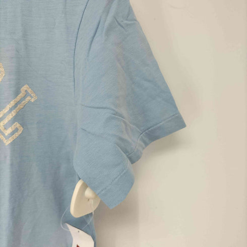 ポロラルフローレン POLO RALPH LAUREN 3段 フロッキープリント クルーネックTシャツ メンズ JPN:M