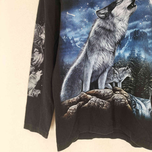 ROCK EAGLE 90s 袖裾シングル L/S TEE メンズ M