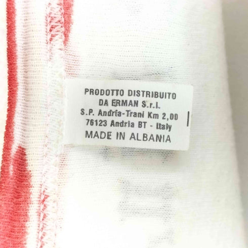 フロッキープリントリンガーTシャツ Y2K レディース