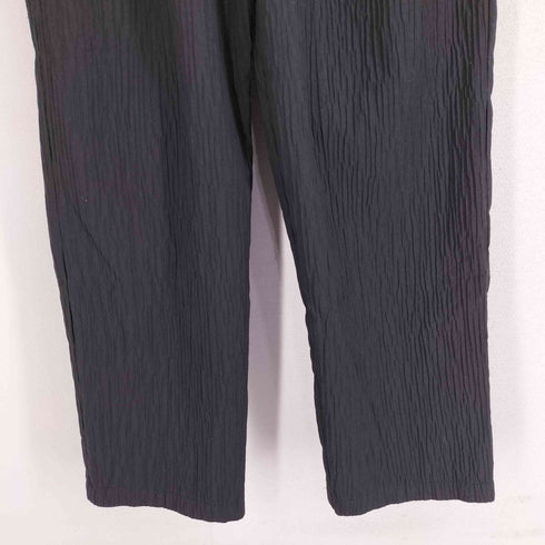 ザラ ZARA RELAXED FIT レリーフ パンツ メンズ JPN:M