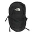 ザノースフェイス THE NORTH FACE pivoter ピボター バックパック リュック メンズ