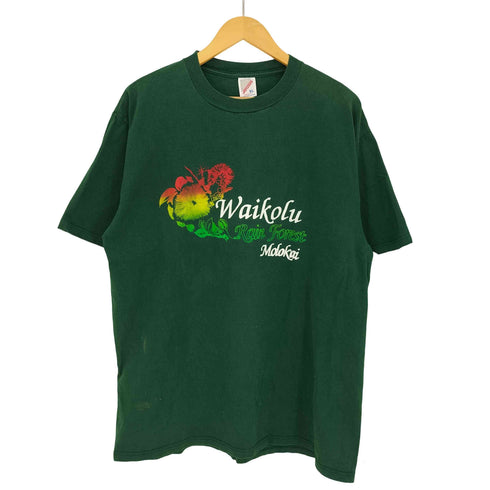 ジャージーズ JERZEES USA製 Waikolu プリント クルーネックTシャツ メンズ import:XL