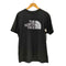 ザノースフェイス THE NORTH FACE S/S GTD LOGO CREW メッシュ ロゴ Tシャツ メンズ import:L