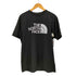 ザノースフェイス THE NORTH FACE S/S GTD LOGO CREW メッシュ ロゴ Tシャツ メンズ import:L