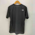 ザノースフェイス THE NORTH FACE S/S GTD LOGO CREW メッシュ ロゴ Tシャツ メンズ import:L