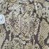 ステューシー Stussy 23FW BIG OL JEAN PYTHON メンズ 32