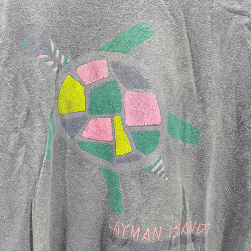フルーツオブザルーム FRUIT OF THE LOOM シングルステッチ ウミガメプリント クルーネック半袖Tシャツ メンズ JPN:XL