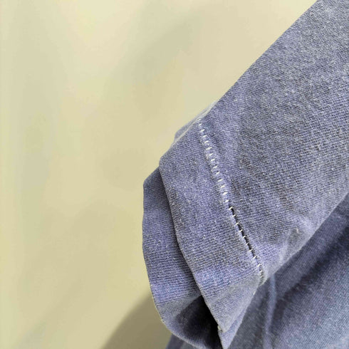 フルーツオブザルーム FRUIT OF THE LOOM シングルステッチ ウミガメプリント クルーネック半袖Tシャツ メンズ JPN:XL