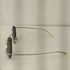 グラッドハンド GLADHAND × 石井浩二 JAMES GLASSES SPM ジェームスグラス サングラス メンズ 53□20