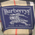 バーバリーズ BURBERRYS イングランド製 玉虫 ノバチェック ステンカラーコート メンズ