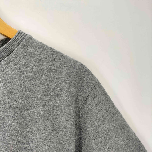ザノースフェイス THE NORTH FACE S/S Heavy Cotton Logo Crew メンズ JPN:M