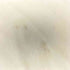 エムエムシックスメゾンマルジェラ MM6 Maison Margiela ボーダーカットソー レディース import:M