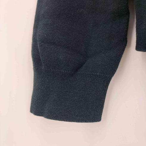 ポロラルフローレン POLO RALPH LAUREN pima cotton ポニー刺繍 Vネックトレーナー メンズ L