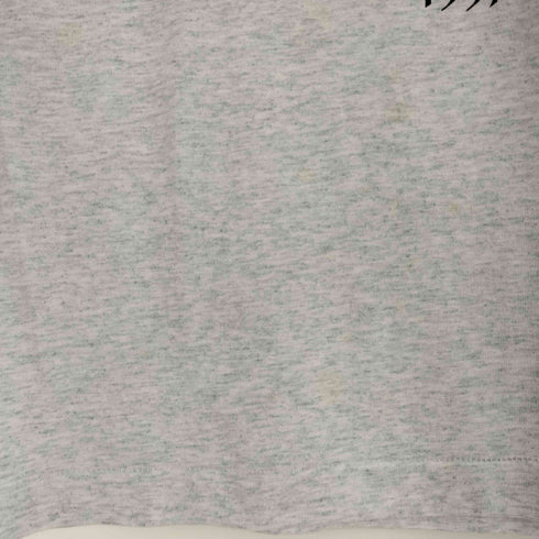 フルーツオブザルーム FRUIT OF THE LOOM 90s シングルステッチ プリント クルーネック Tシャツ メンズ import:M