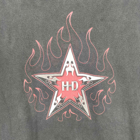ハーレーダビッドソン HARLEY-DAVIDSON フレイムデザイン両面プリントクルーネックTシャツ メンズ M
