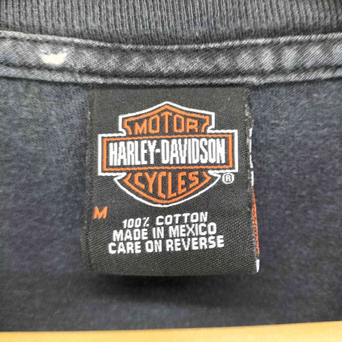ハーレーダビッドソン HARLEY-DAVIDSON フレイムデザイン両面プリントクルーネックTシャツ メンズ M