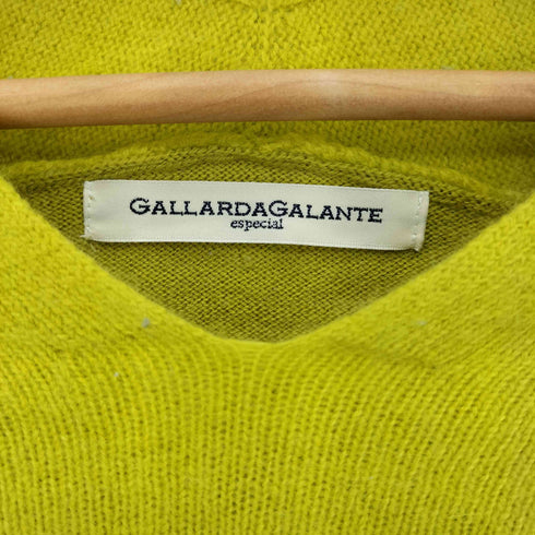 ガリャルダガランテ GALLARDAGALANTE アンゴラ混 Vネックニットプルオーバー レディース FREE