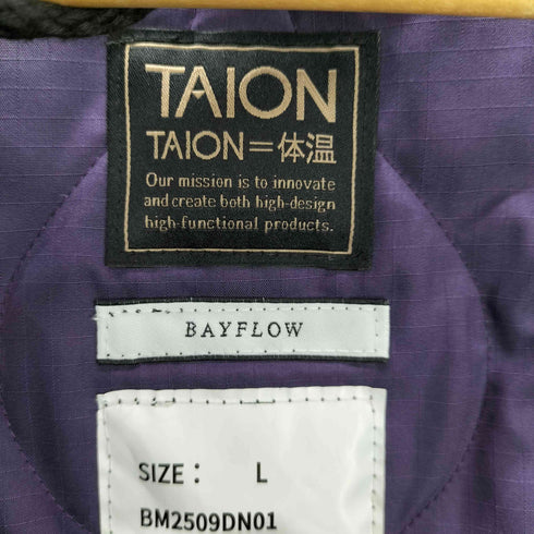 タイオン TAION Vネック ダウン ジャケット キルティング メンズ JPN:L