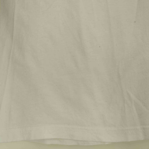 ザノースフェイス THE NORTH FACE S/S BOX NSE TEE メンズ import:M