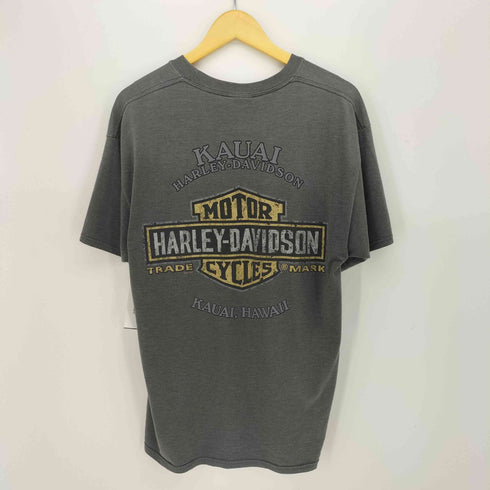 ハーレーダビッドソン HARLEY-DAVIDSON KAUAI 両面 プリント S/S クルーネック Tシャツ メンズ GRANDE