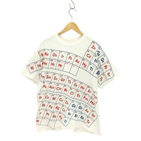 ヘインズ Hanes 90S USA製 シングルステッチ 元素記号プリントTシャツ メンズ import:L