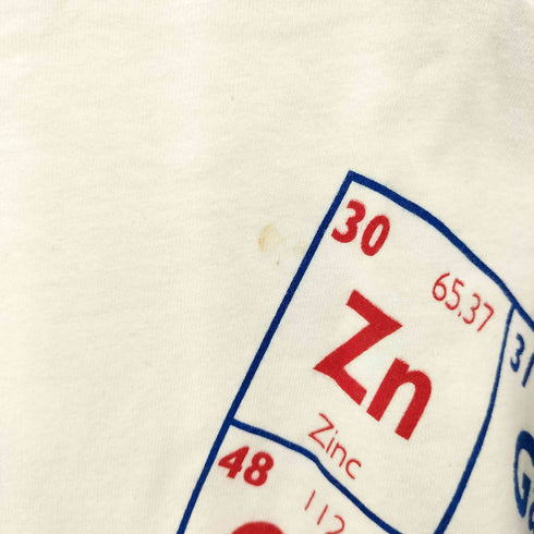ヘインズ Hanes 90S USA製 シングルステッチ 元素記号プリントTシャツ メンズ import:L