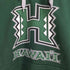 HAWAII ロゴ プルオーバーパーカー メンズ import:XL
