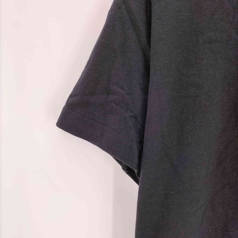 フルーツオブザルーム FRUIT OF THE LOOM 90S USA製 devil dog 1990 1995 WILLAM WEGMAN FOTOFOLIO シングルステッチ S/S クルーネック 犬 プリント Tシャツ メンズ import:L