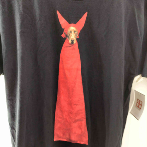 フルーツオブザルーム FRUIT OF THE LOOM 90S USA製 devil dog 1990 1995 WILLAM WEGMAN FOTOFOLIO シングルステッチ S/S クルーネック 犬 プリント Tシャツ メンズ import:L
