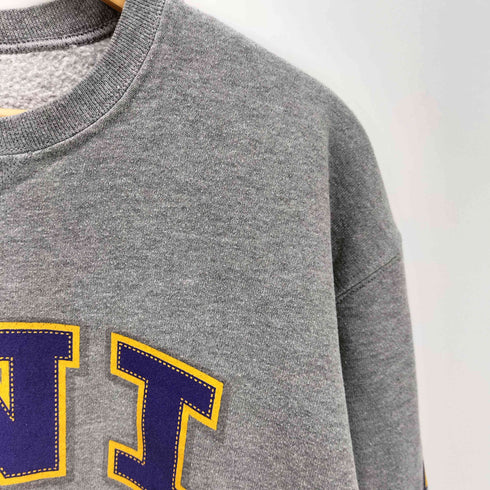 ラッセルアスレチック RUSSELL ATHLETIC 90-00S 前Vガゼット UNI PANTHERS カレッジ ロゴ 裏起毛 スウェット アームプリント メンズ import:M