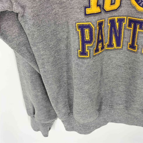 ラッセルアスレチック RUSSELL ATHLETIC 90-00S 前Vガゼット UNI PANTHERS カレッジ ロゴ 裏起毛 スウェット アームプリント メンズ import:M