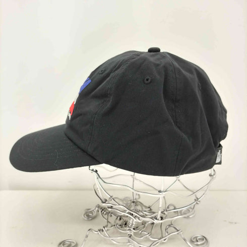 ザノースフェイス THE NORTH FACE TNF CHINO Cap ロゴ刺繍デザイン 6パネル キャップ メンズ F