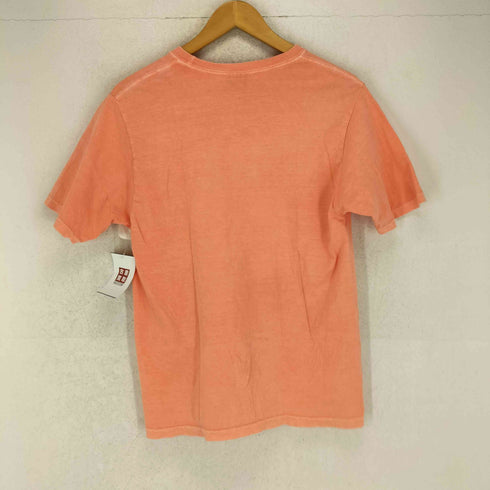 ステューシー Stussy DESIGN CORP PIG DYED TEE メンズ S
