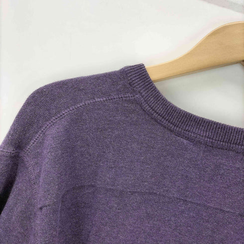 アイゾッド IZOD ロゴ 刺繍 Vネック コットン ニット セーター メンズ import:L
