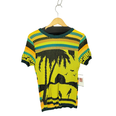 デシグアル Desigual フウケイデザイン リブデザイン クルーネック 半袖ニットTシャツ レディース L