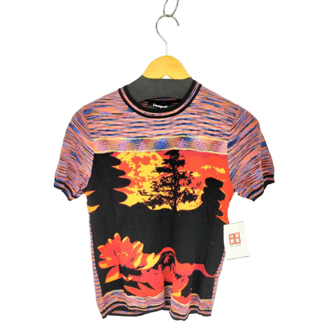 デシグアル Desigual フウケイデザイン コットンニット クルーネック半袖Tシャツ レディース M