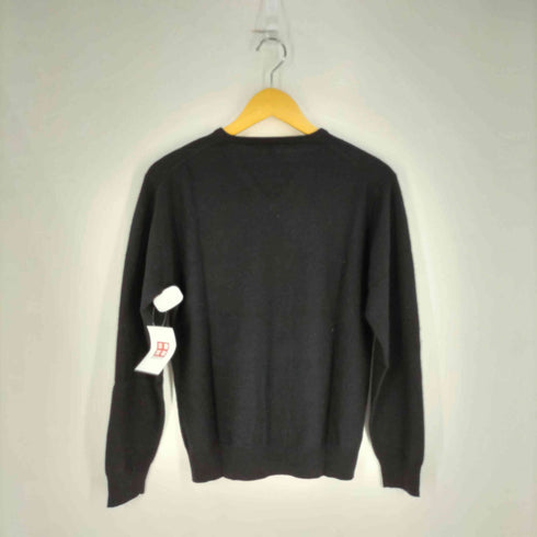 カシミヤ混 Vネック ウールニット メンズ JPN:M