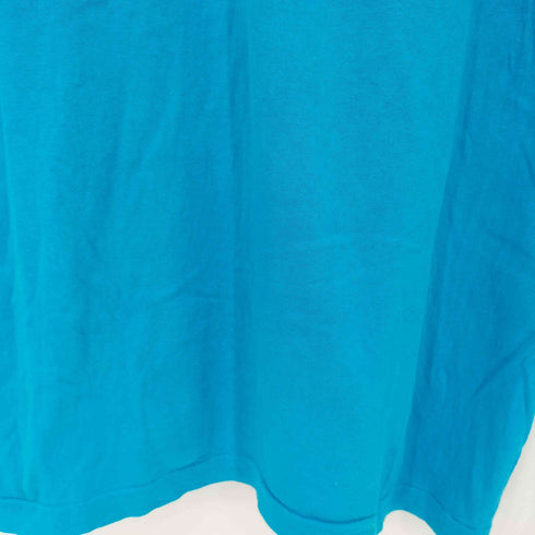 フルーツオブザルーム FRUIT OF THE LOOM 80-90s USA製 S/Sシングルステッチ プリントTシャツ メンズ import:L
